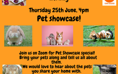 Virtual Coffee ‘Morning’ Pet Showcase
